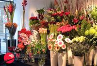 4 days florist dandenong - 1