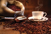 coffee works mareeba far - 2