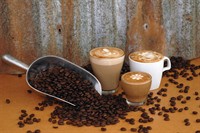 coffee works mareeba far - 3