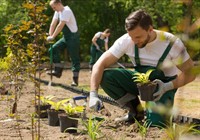 landscaping business recurring revenue - 2