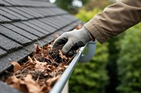 profitable gutter cleaning business - 1