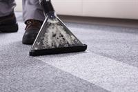 34544 profitable carpet cleaning - 1