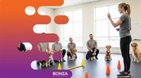 36379 dog day-care grooming - 1