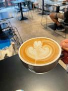 licensed café hawthorn--1p9865 - 2