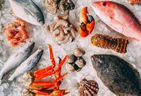 seafood wholesale distribution revenue - 2
