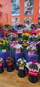 gladstone park florist - 2