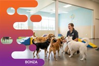 36626 profitable dog daycare - 1