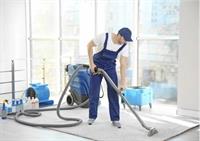 highly successful cleaning business - 1