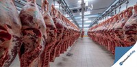 nsw meat wholesalers 36 - 2