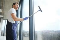33039 profitable cleaning business - 2