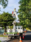 vegetation maintenance municipal contractor - 1