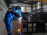 established steel gate fencing - 1