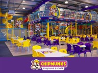 chipmunks indoor playground franchise - 1