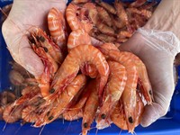 established mobile seafood retail - 1