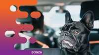 36452 profitable online business - 2