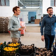 wholesale fruit veg distribution - 2