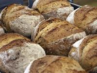 middle eastern pizza bakery - 3