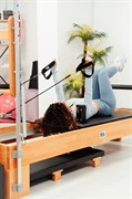 230+ members premium wellness - 2