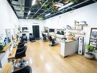 organic sustainable hair salon - 3