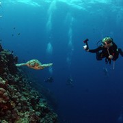 coming soon scuba diving - 3