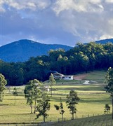 modern homestead acreage eco-tourism - 1