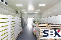 services perishables container forwarding - 1