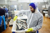 manufacture of seafood products - 1
