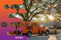 37033 profitable tree services - 3