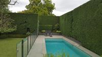 20264 hedge trimming business - 2
