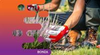 36202 thriving landscape construction - 3