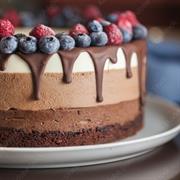 thriving celebration cake business - 3