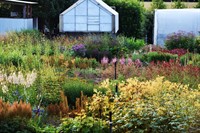 wholesale retail nursery established - 3