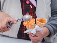 boutique gelato franchise prime - 3