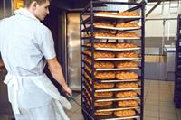 bread manufacturing wholesale opportunity - 1