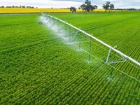thriving essential water irrigation - 1