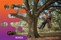 37033 profitable tree services - 2