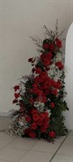oakleighs iconic florist nursery - 2