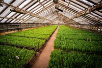 quality horticultural business vic - 2