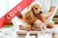 dog daycare grooming business - 1