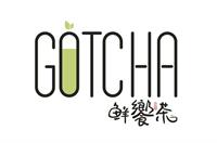 franchise gotcha fresh tea - 3