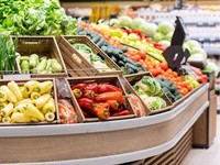 established grocery store 482 - 2