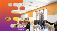 35643 established dog grooming - 3