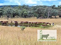 investment opportunity ethical organic - 2