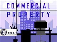 commercial property fish chips - 1