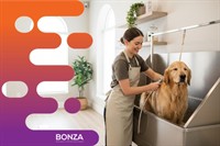 36775 busy dog grooming - 3