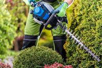 34548 profitable arboriculture business - 2