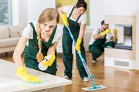 33039 profitable cleaning business - 3