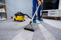 33151 reputable carpet cleaning - 1