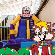 price drop chipmunks indoor - 1