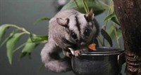 profitable pest control business - 1